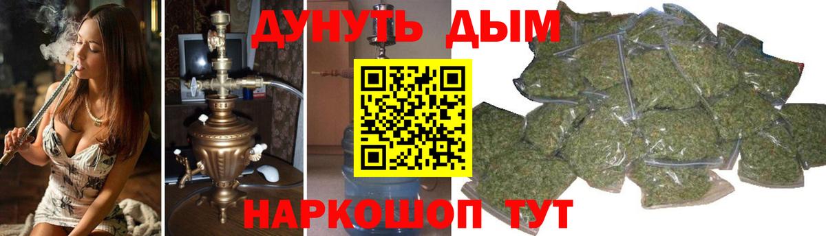 Конопля планчик Ноябрьск